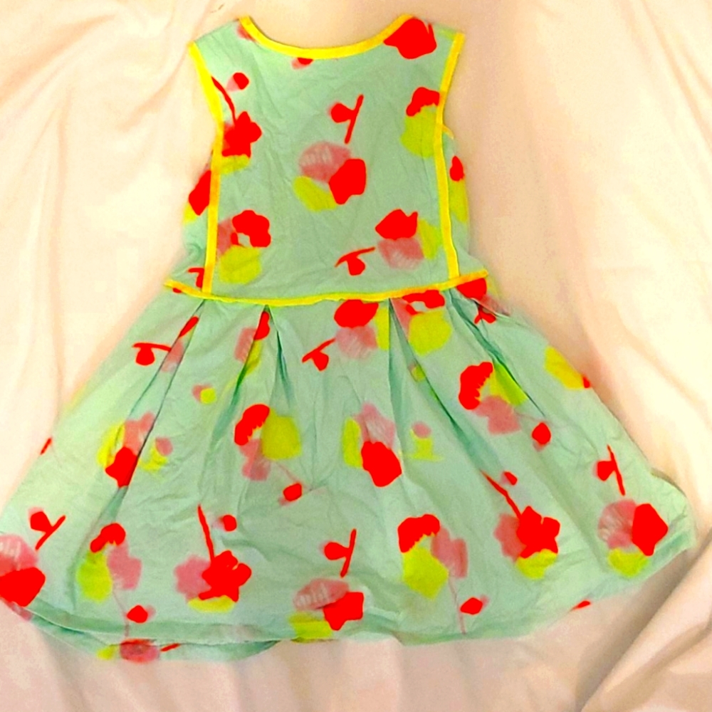 Cat and Jack 5t dress